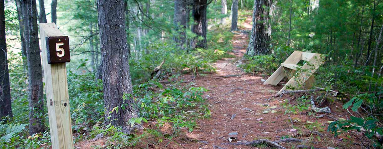 Trail marker