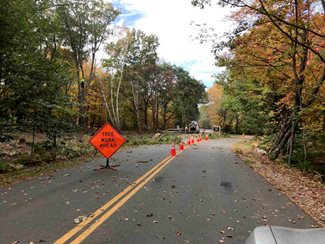 Road with sign, cones and fallen branches