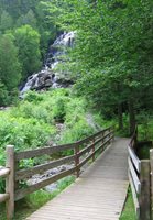 brook with bridge