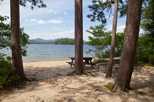Picnic benches on lake beach