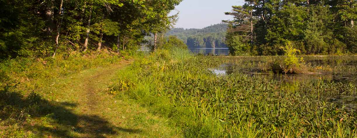 Lake shore