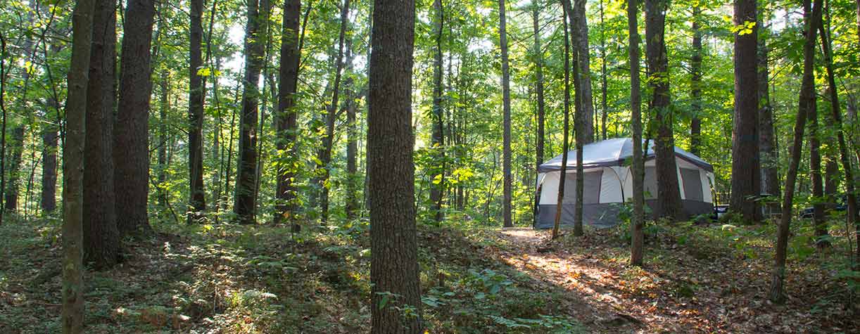 Tent in woods