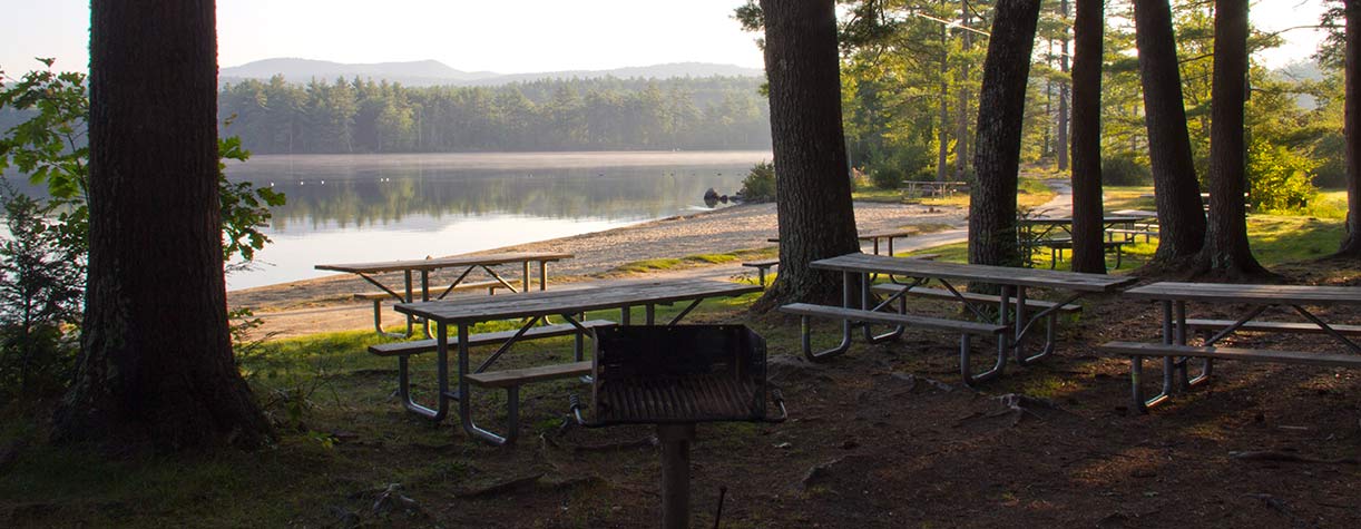 Picnic tables near lake shore
