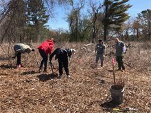 People cleaning up park