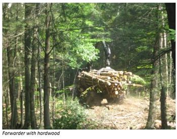 Crane with logs piled up