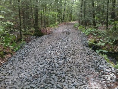 Gravel path in woods