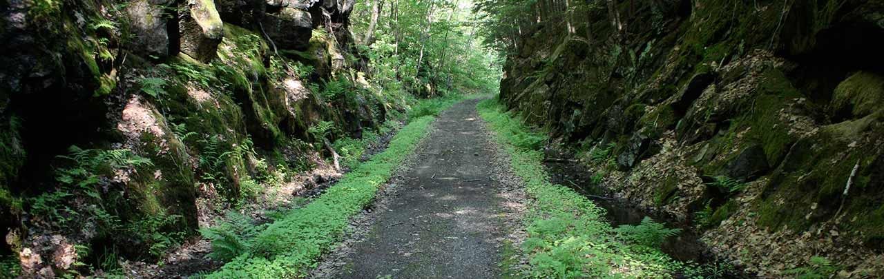 a rail trail going through a park