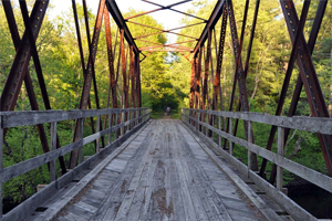 a bridge in a park