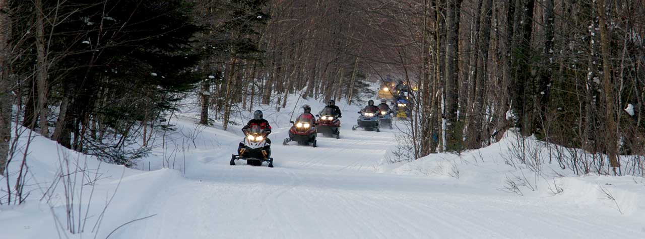 People snowmobiling on a trail