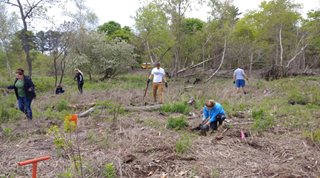 People cleaning up park